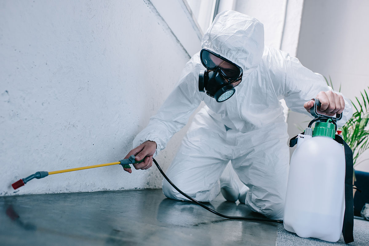 Fumigation & Pest Control